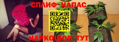 spice Краснознаменск