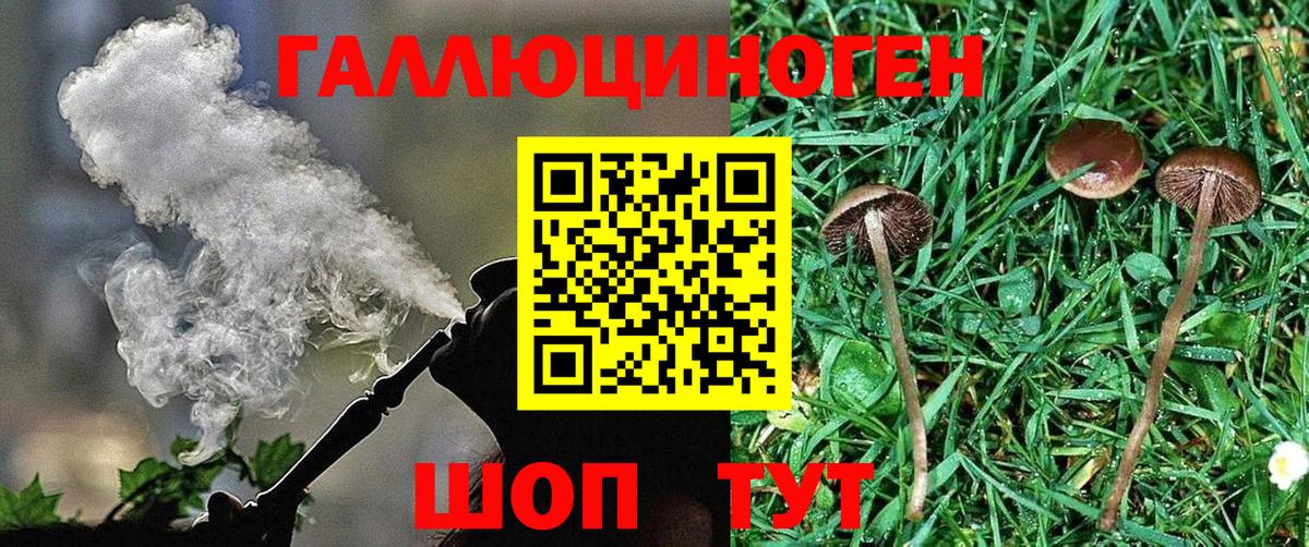 Псилоцибиновые грибы мицелий Ефремов